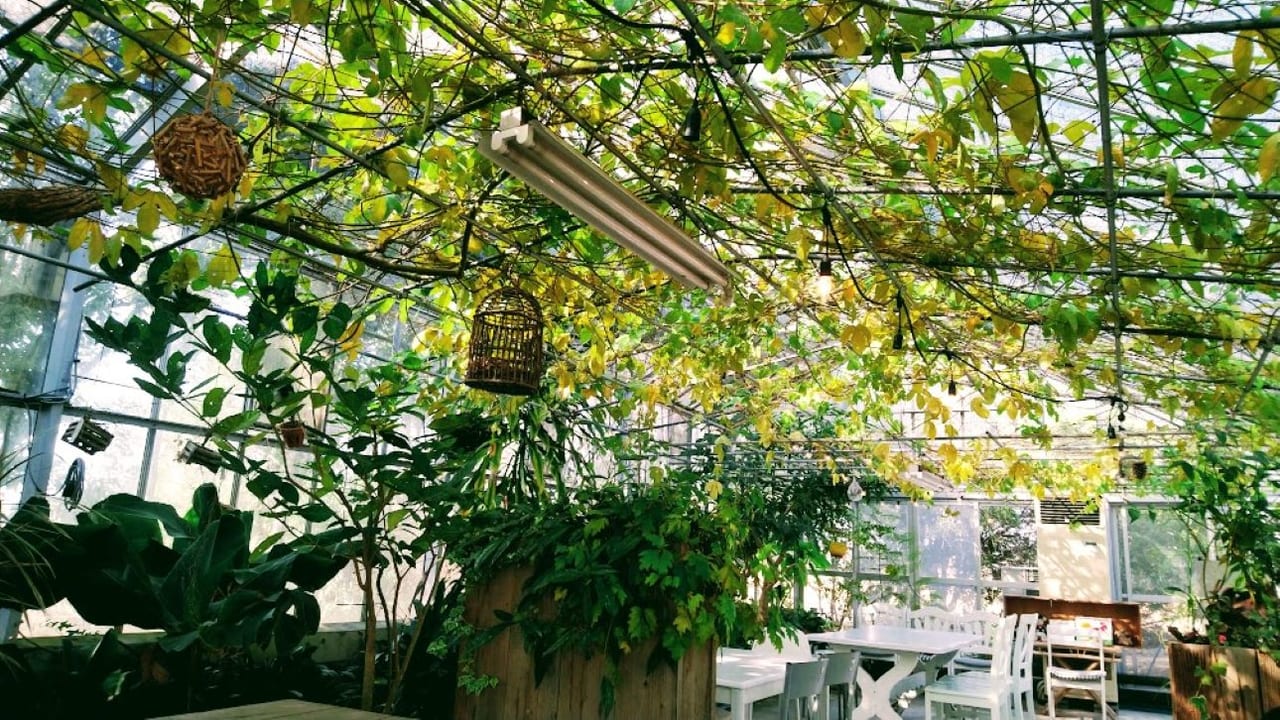 名倉メロン農場カフェ画像