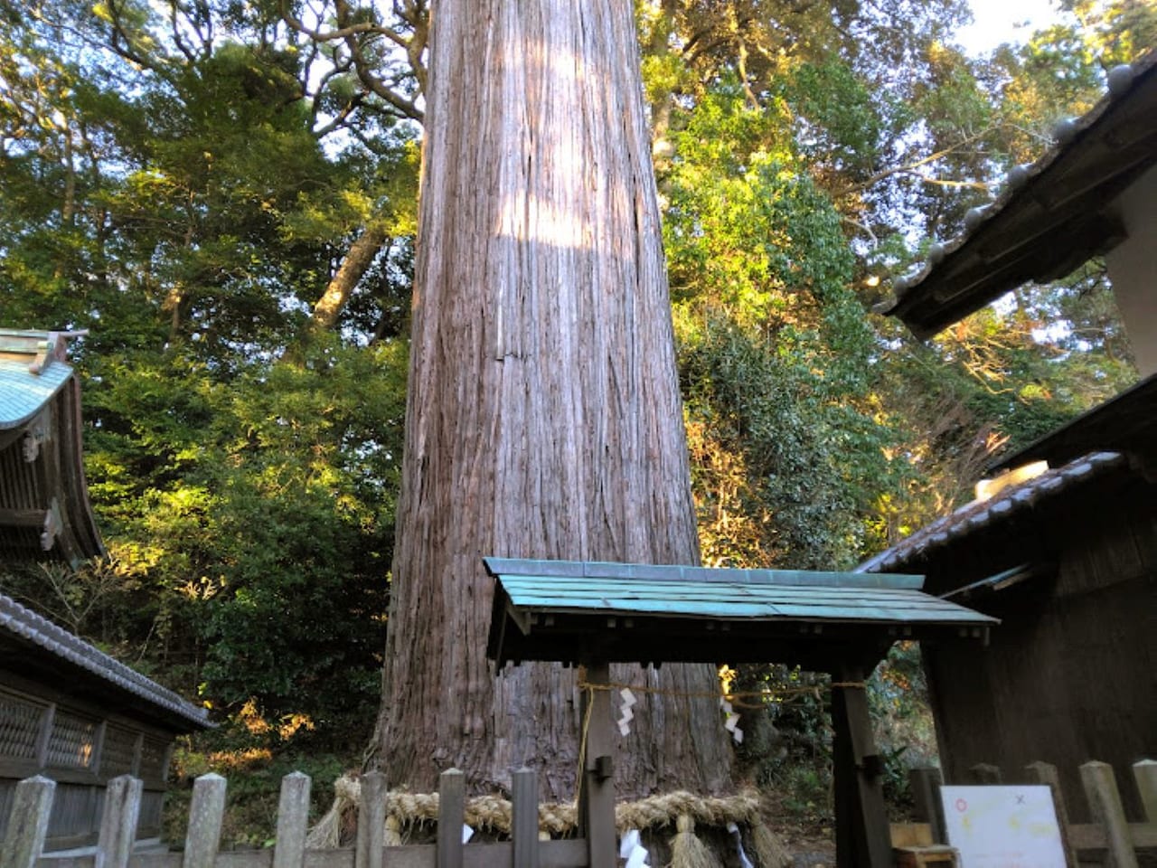 事任八幡宮木