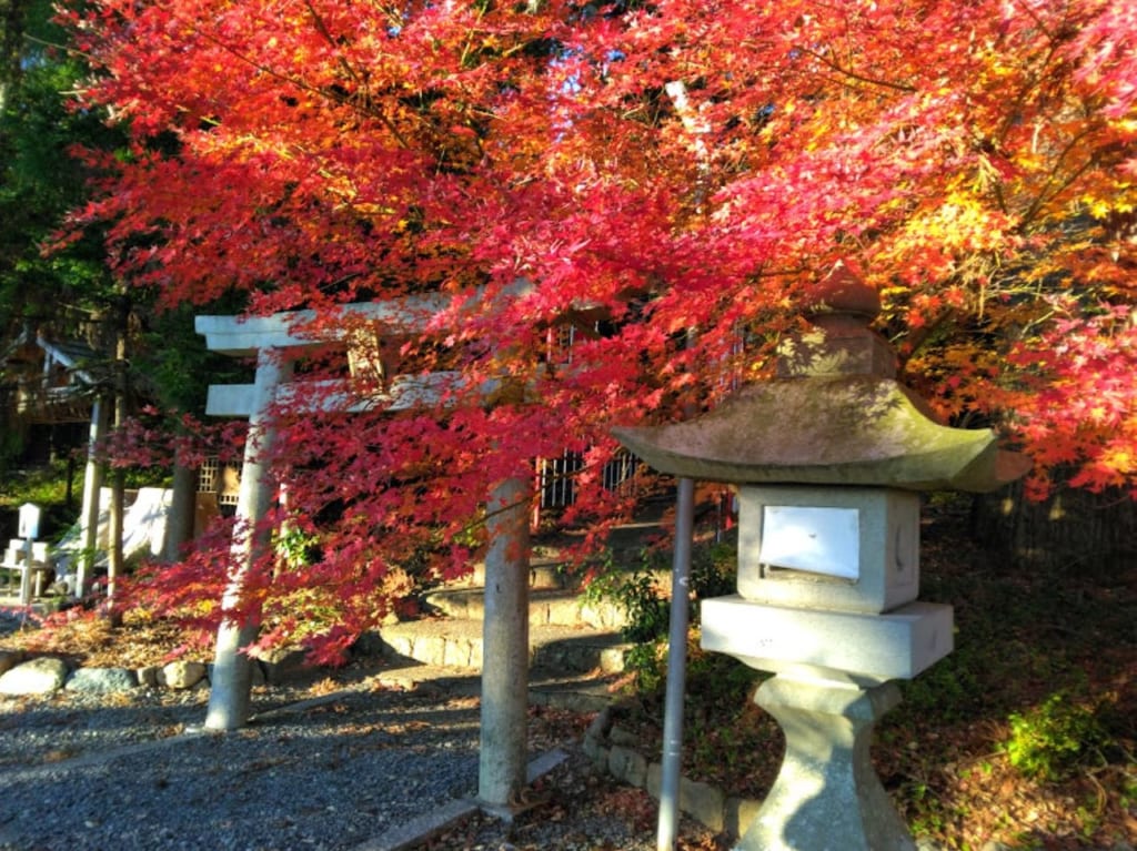 事任八幡宮紅葉2022