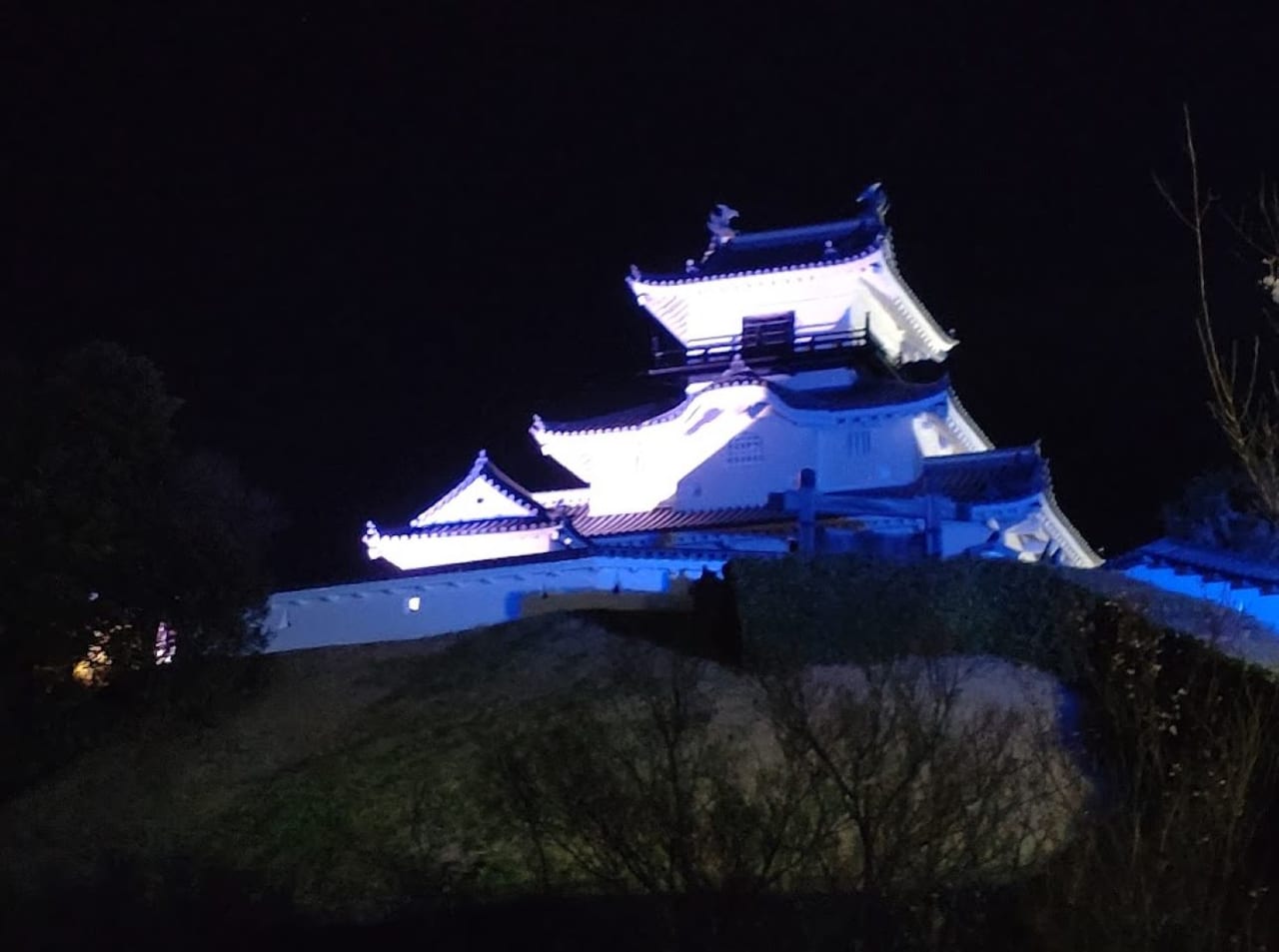 2023年3月撮影掛川城ライトアップ紫青色