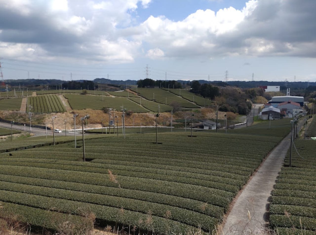 菊川中央公園掛川市近く茶畑