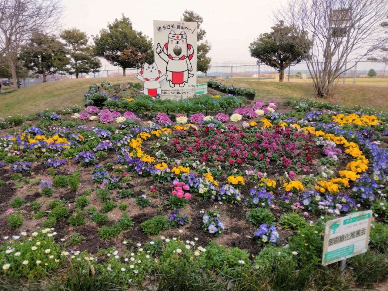 磐田市鎌田兎山公園うさぎやま公園花