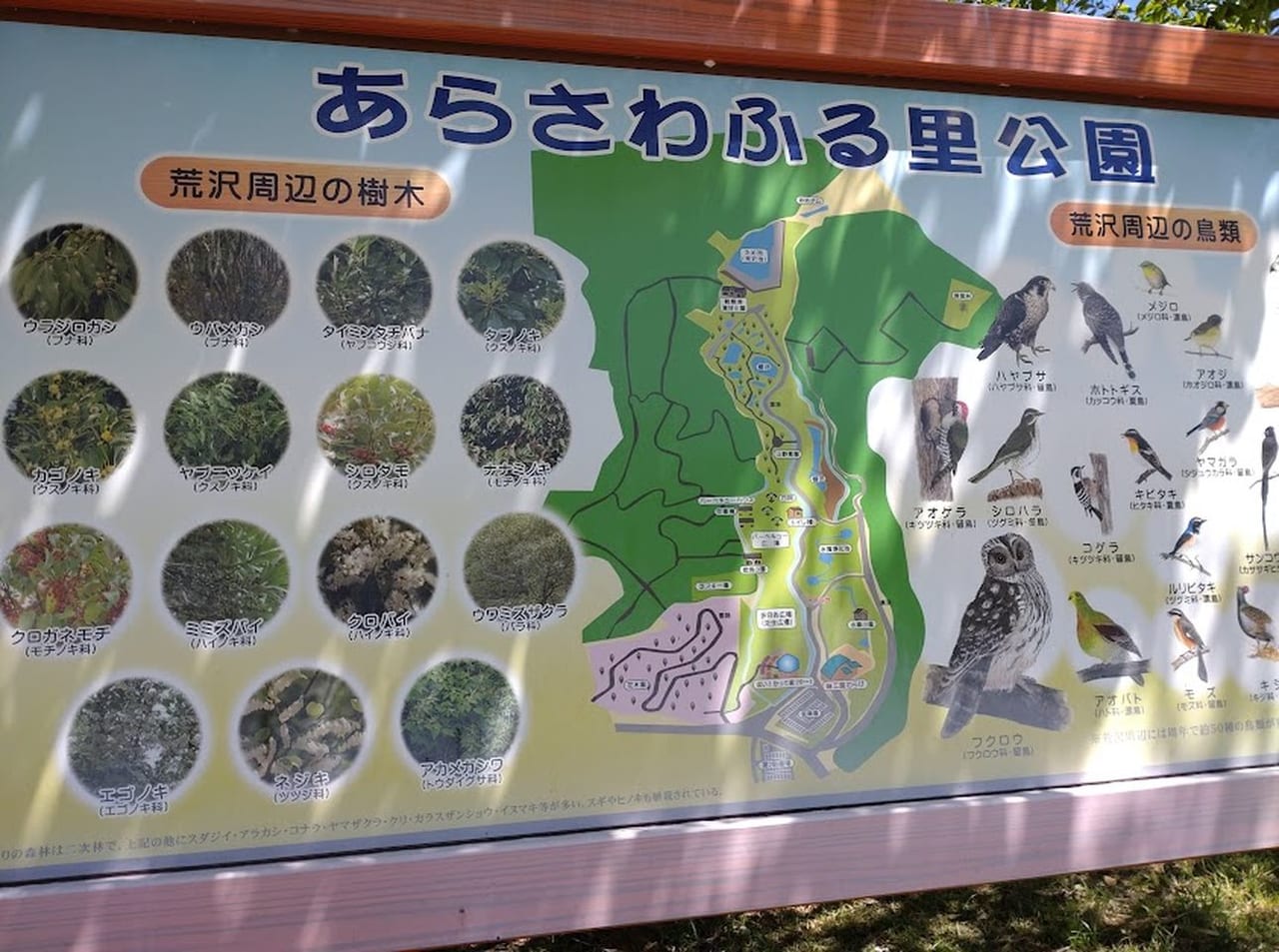 御前崎市下朝比奈あらさわふるさと公園