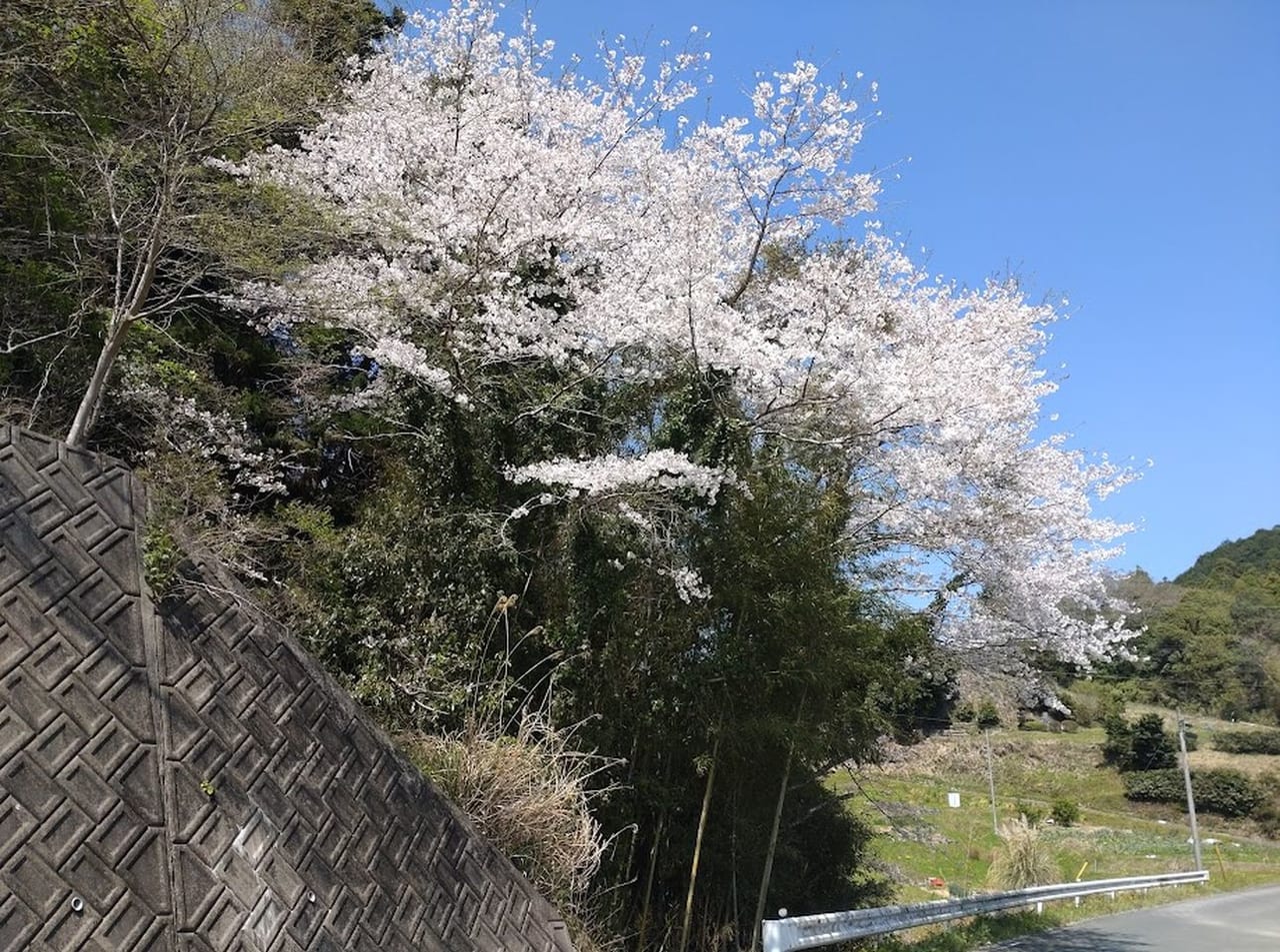 徳川陶房掛川市上西郷