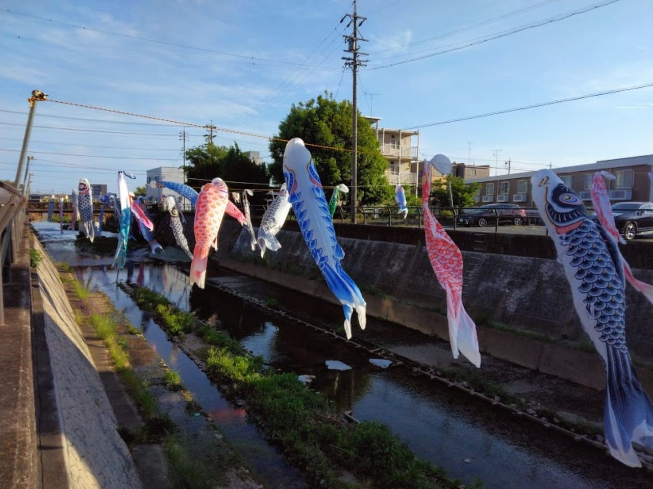 こいのぼり磐田市今之浦川