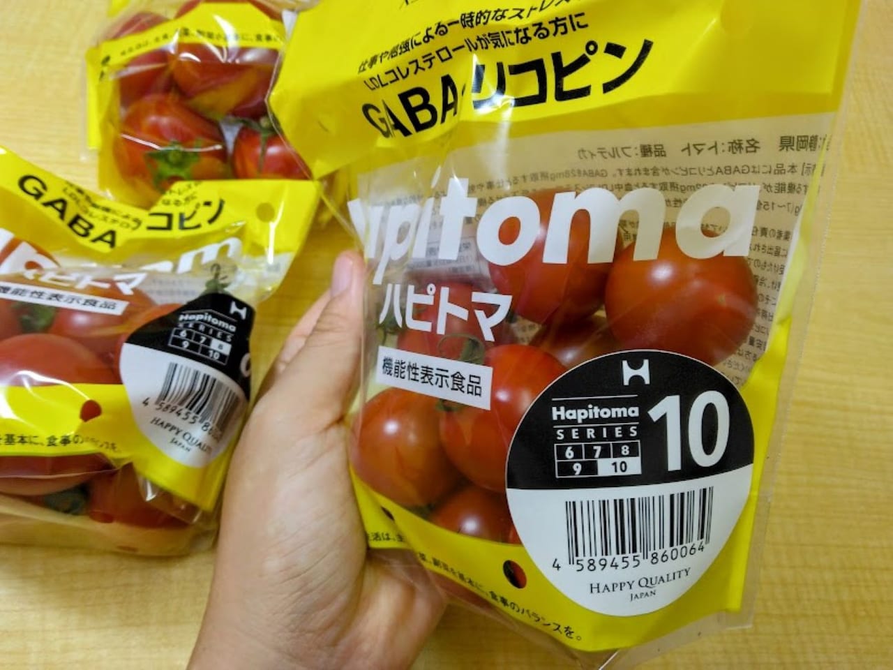 ハピトマ（Hapitoma）