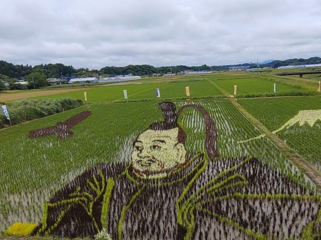 菊川市下内田田んぼアート