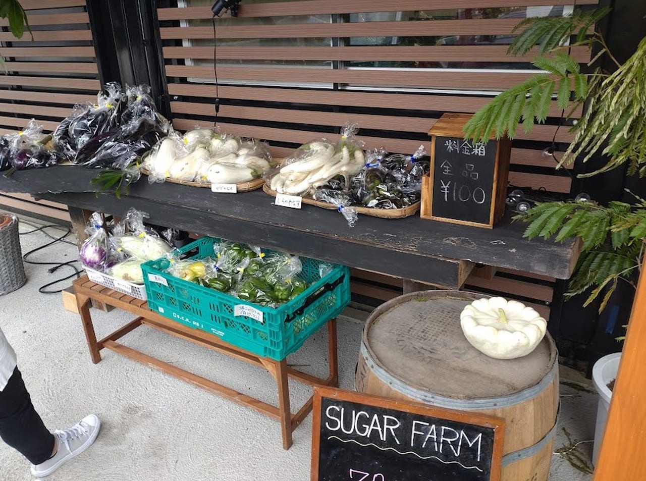 野菜直売所「野菜の駅」掛川市上内田