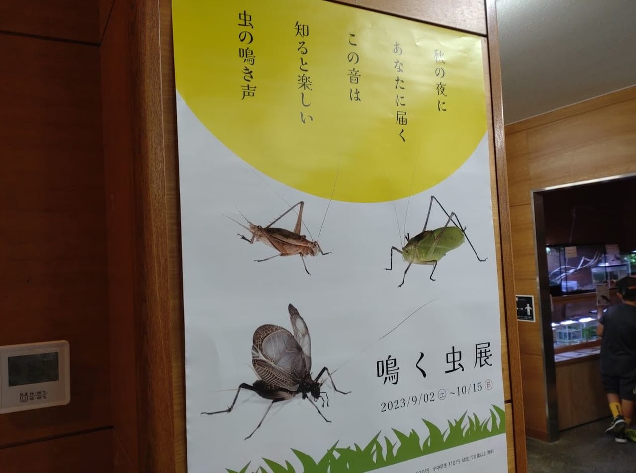 磐田市竜洋昆虫自然観察公園鳴く虫展