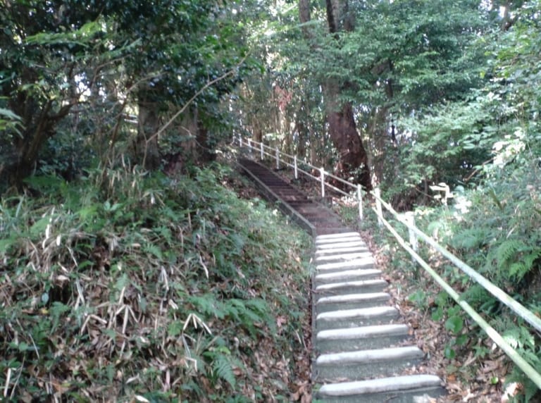 獅子ヶ鼻砦跡菊川