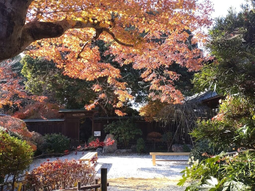 磐田市壱貫地にある花咲乃庄天保の庭園