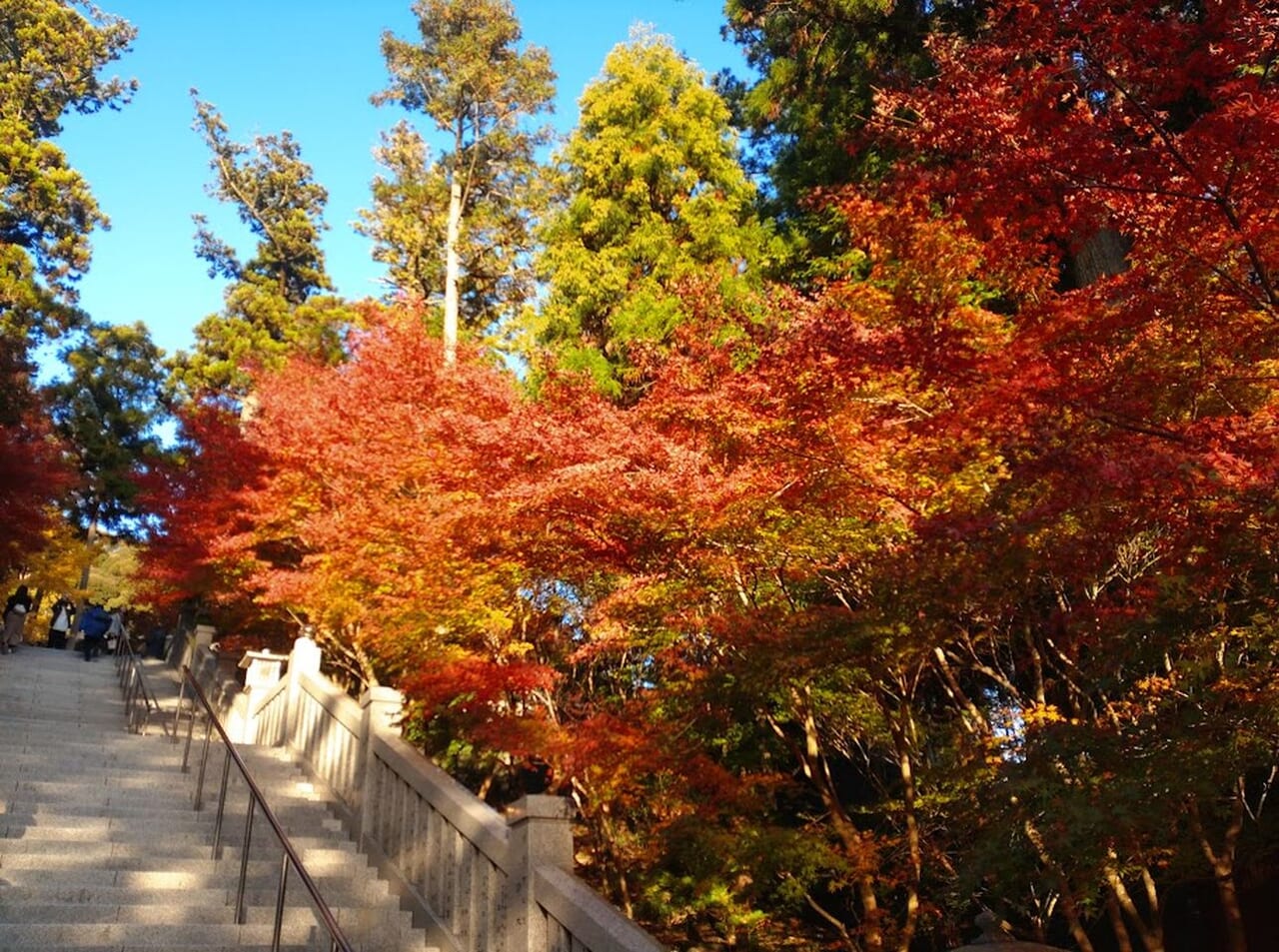 袋井市法多山紅葉2023年