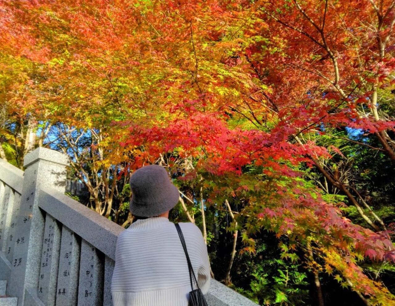 袋井市法多山紅葉2023年