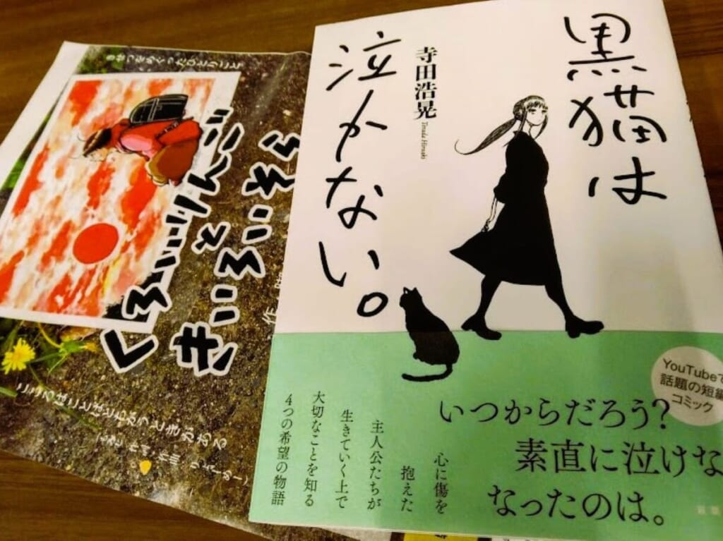 黒猫は泣かない磐田市寺田浩晃