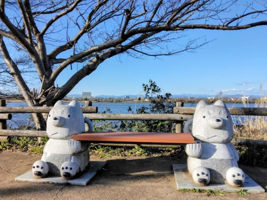 磐田市二之宮しっぺいベンチ大池ウォーキングコース野鳥