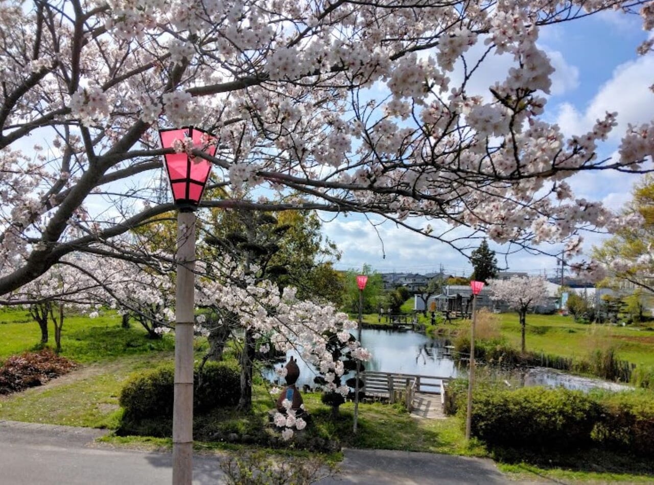 磐田市西貝塚ひょうたん池桜並木桜さくらsakura