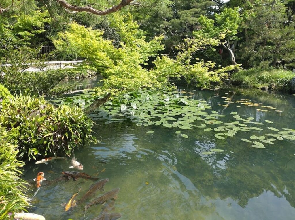 掛川市西大渕清水邸