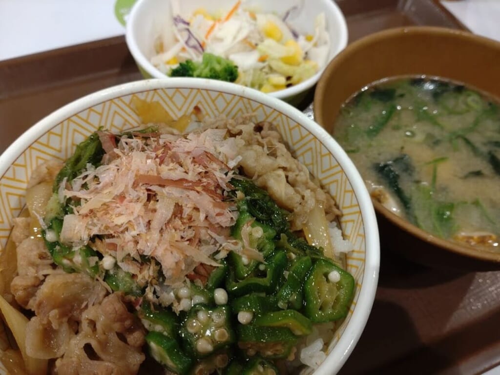 すき家めかぶオクラ牛丼期間限定メニュー
