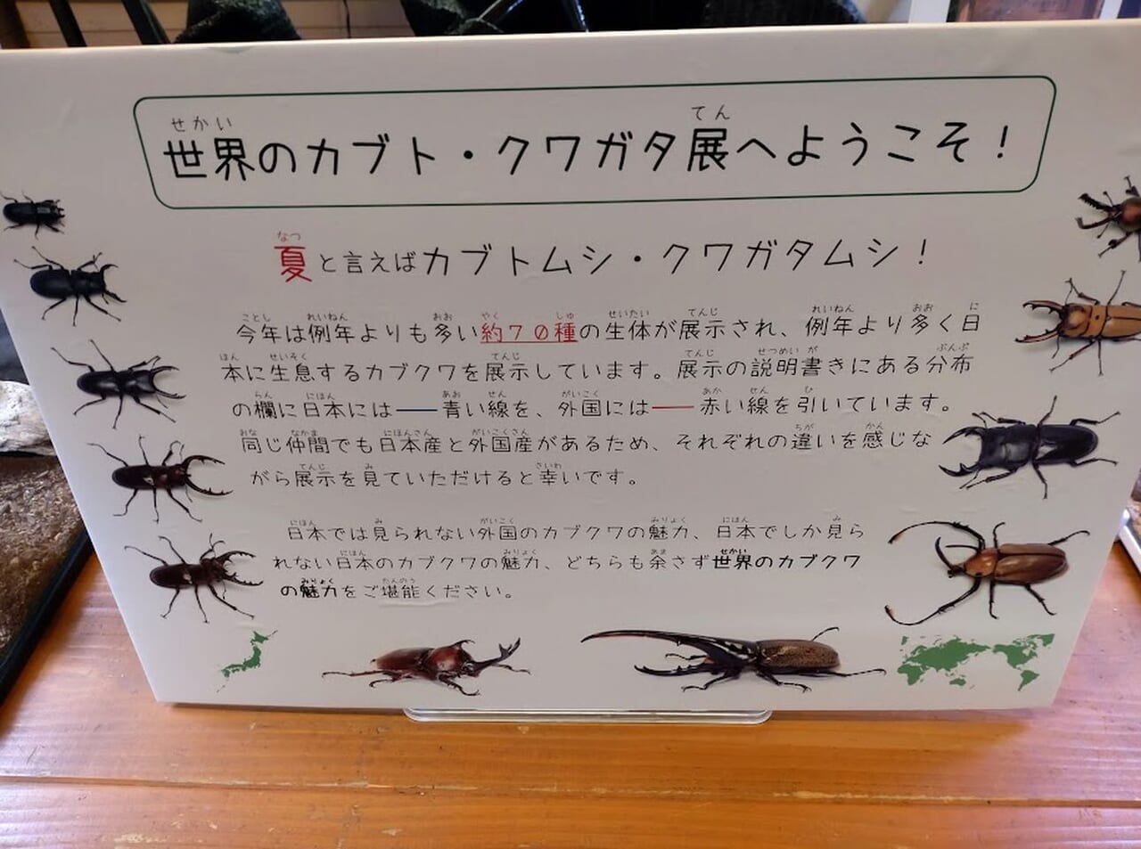 磐田市世界のカブトクワガタ展カブクワ磐田市