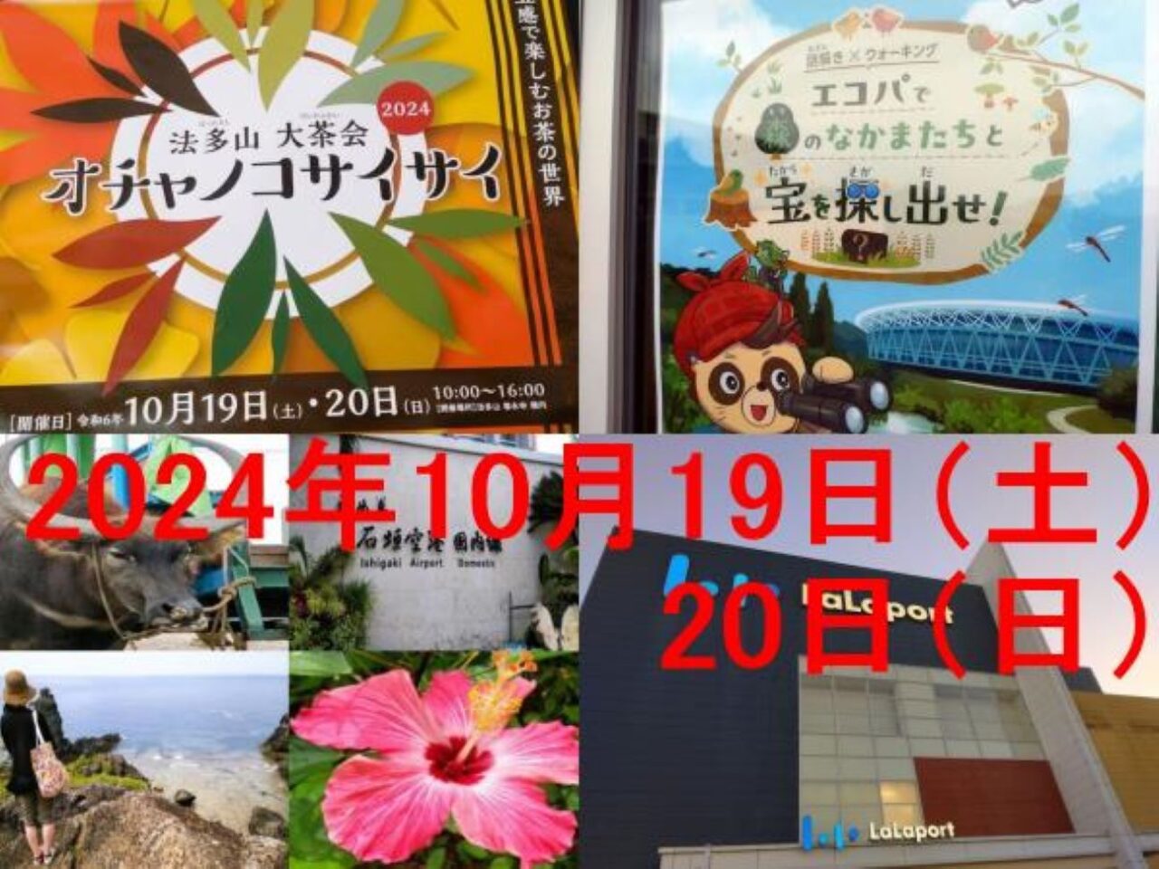 2024年10月19日（土）20日（日）ららぽーと磐田法多山エコパ