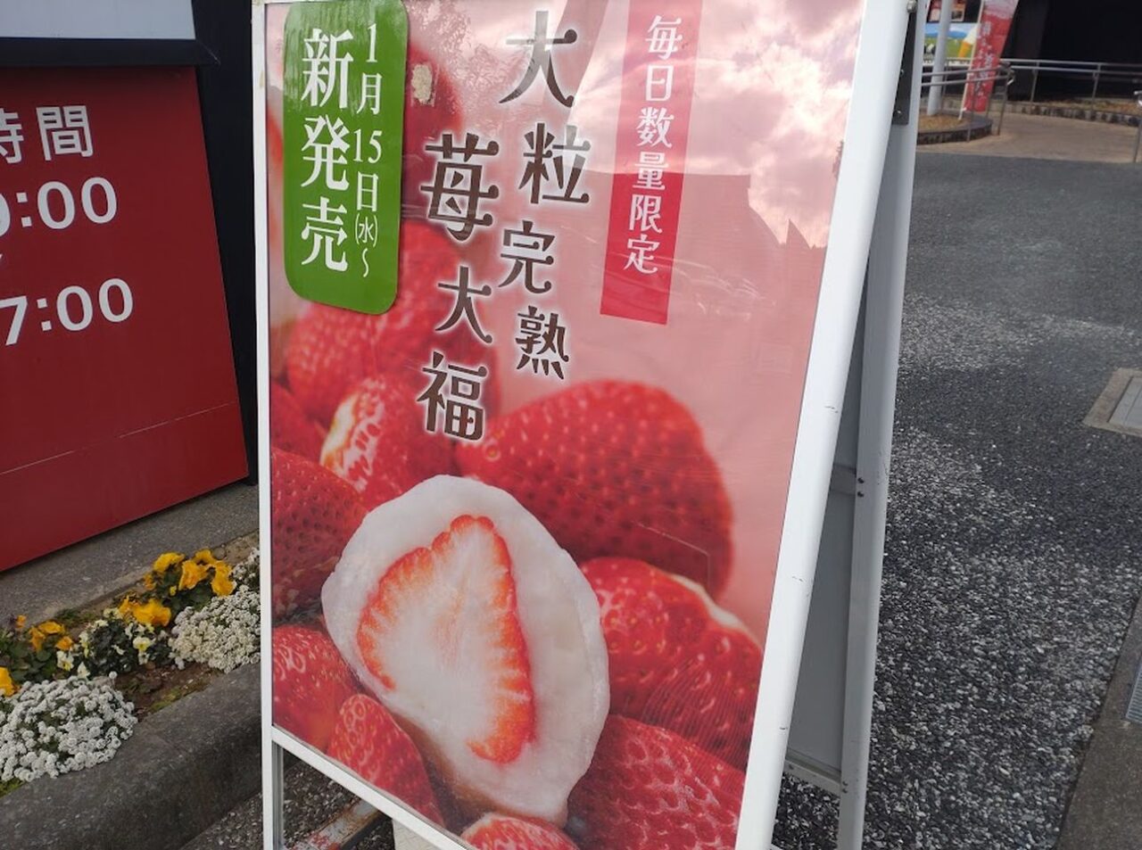 たこまん苺大福大粒完熟いちご大福