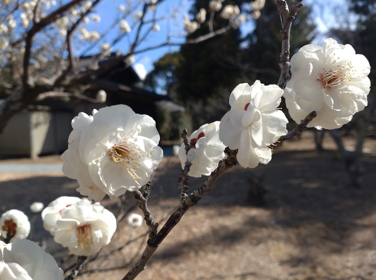 菊川市下平川黒田代官屋敷