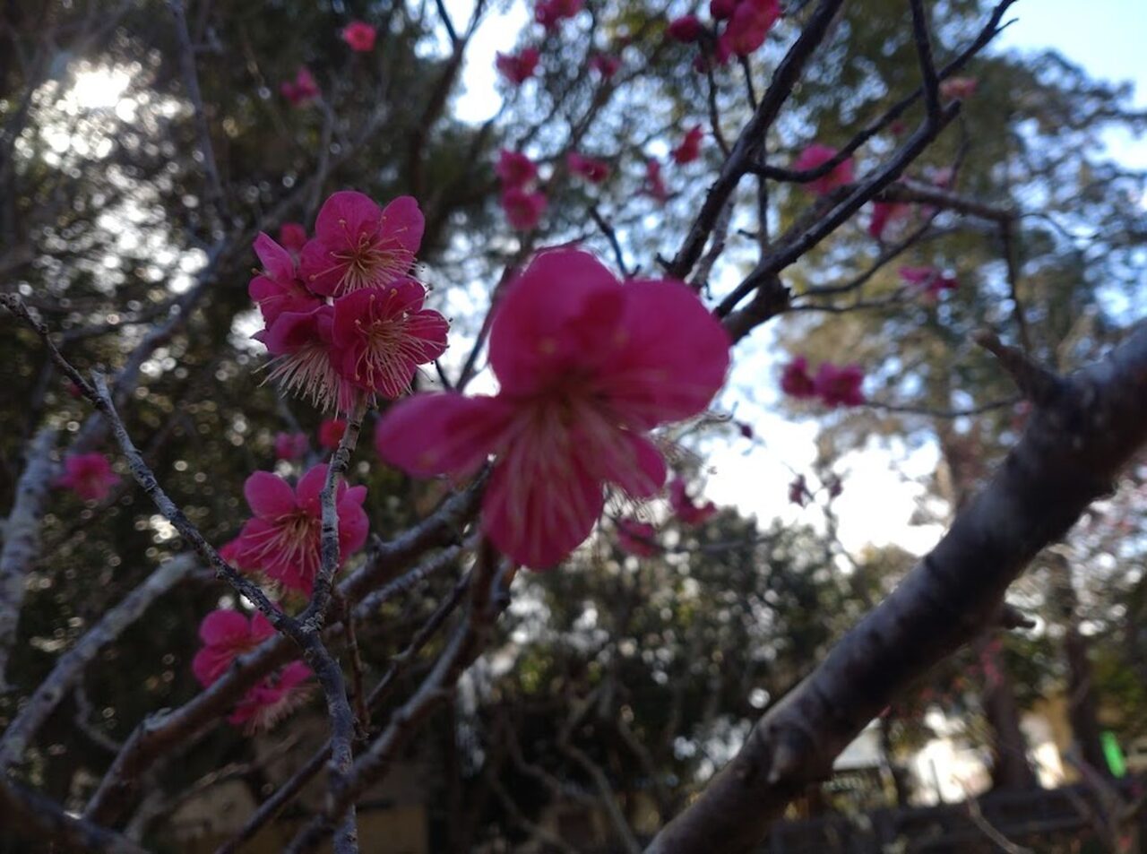 菊川市下平川黒田代官屋敷