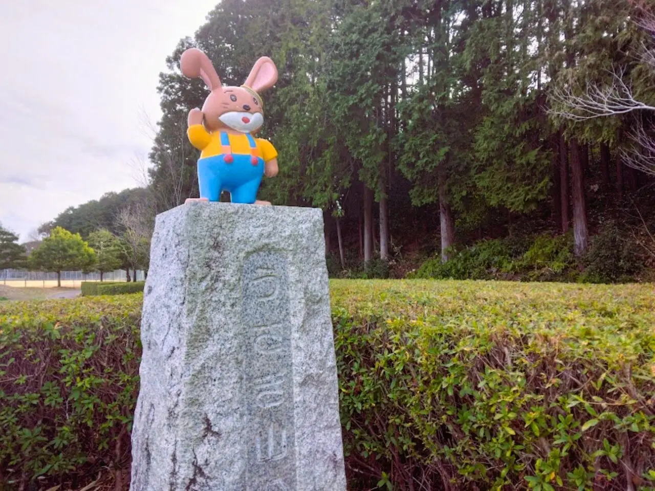 うさぎやま公園磐田市鎌田兎山公園桜