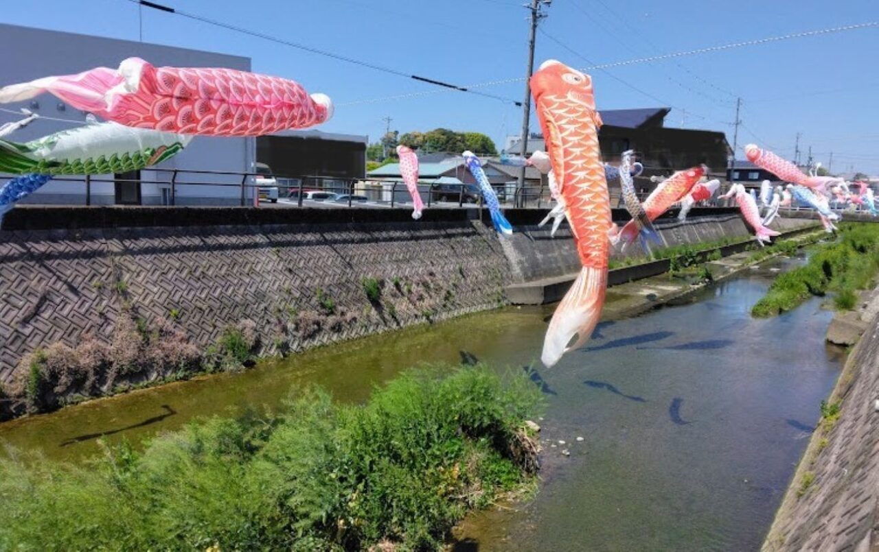 磐田市見付今之浦川こいのぼり