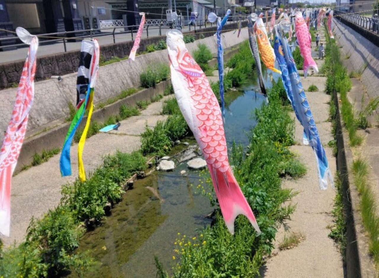 磐田市見付今之浦川こいのぼり