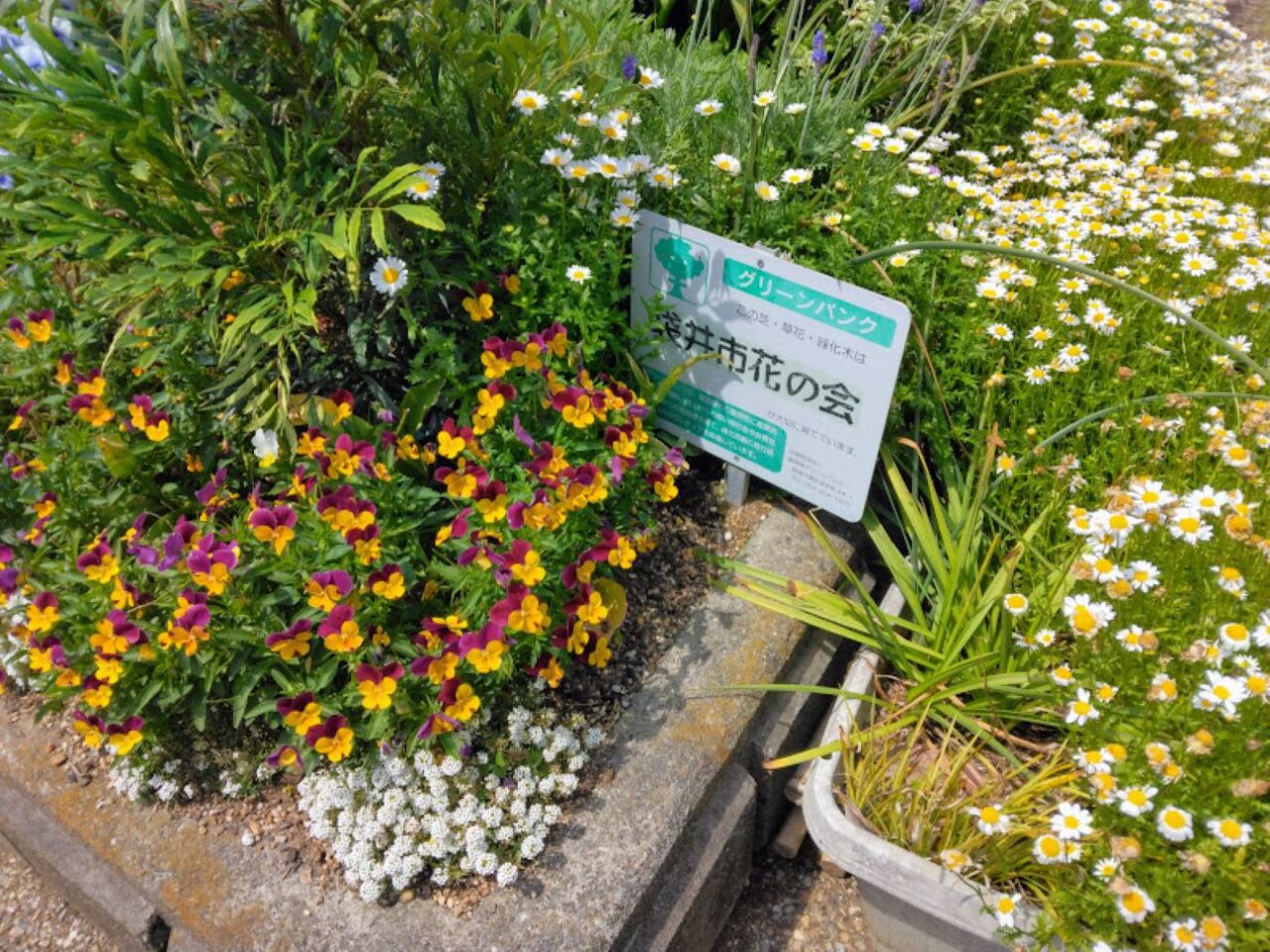 袋井市高尾高尾町公園