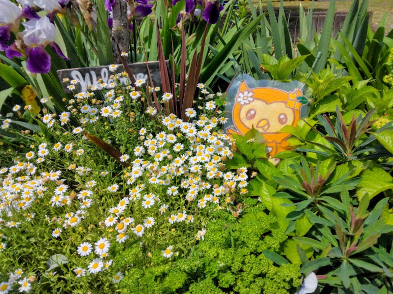 袋井市高尾高尾町公園