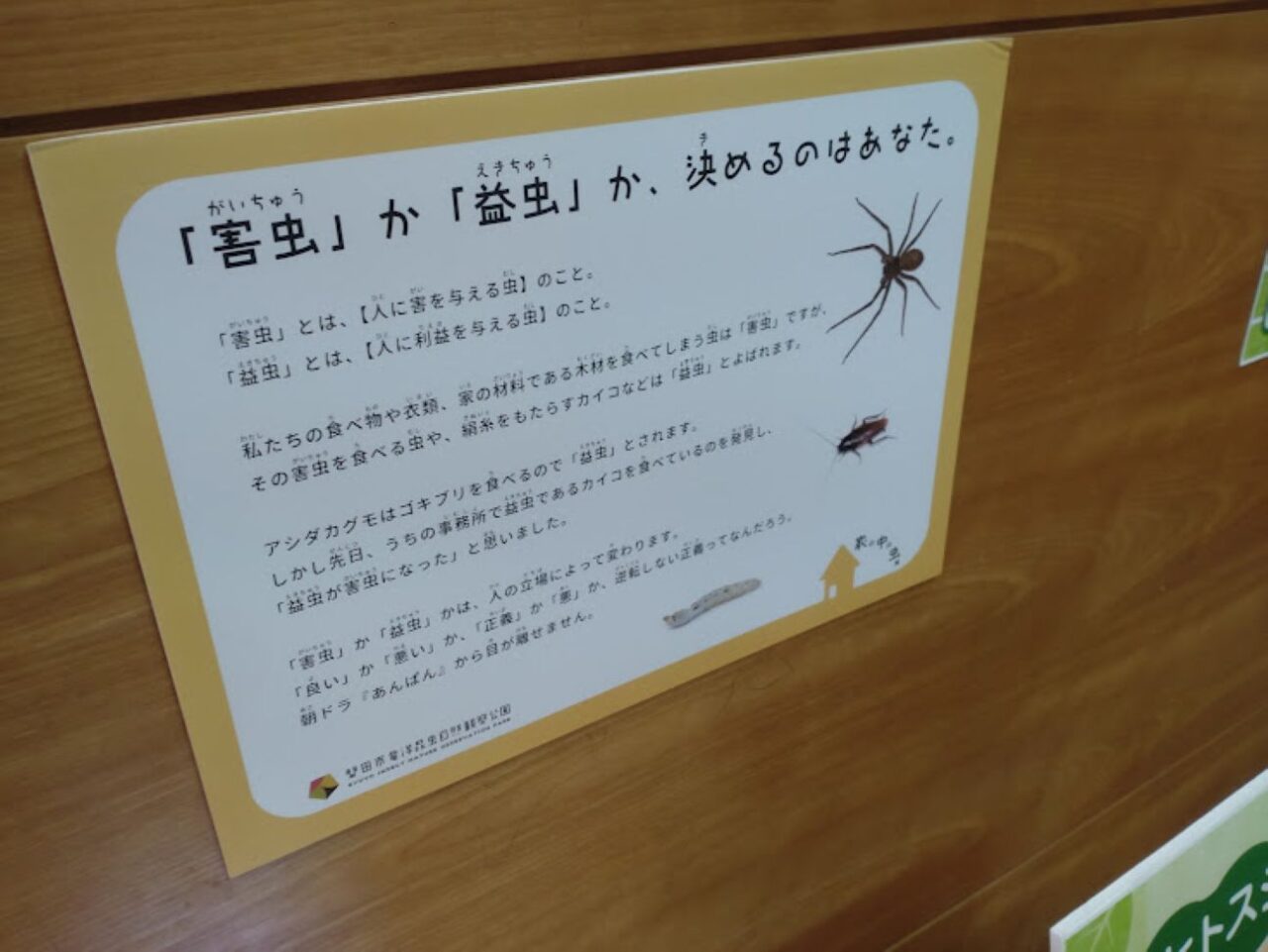 磐田市家の中虫展磐田市竜洋昆虫自然観察公園