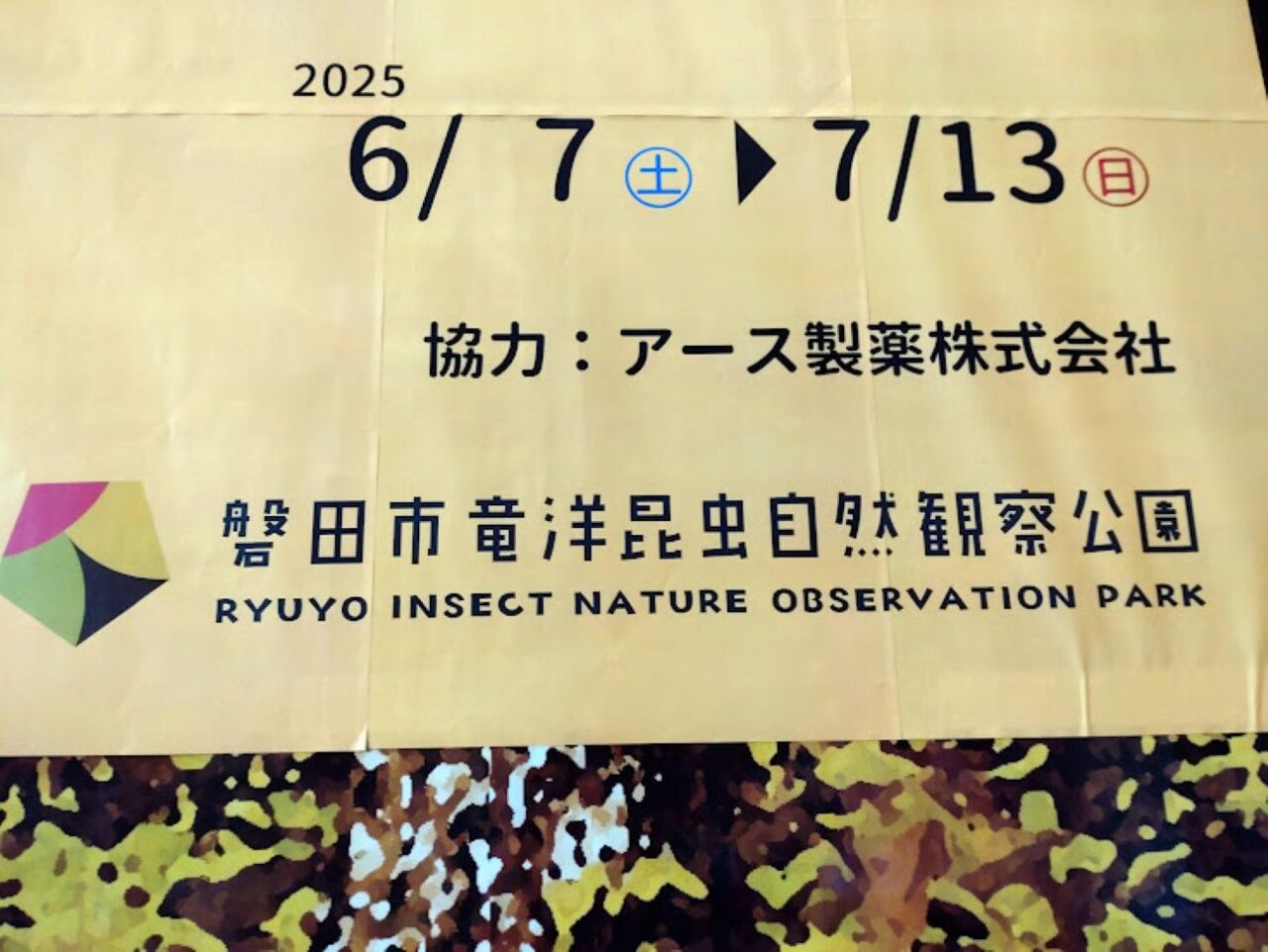 磐田市家の中虫展磐田市竜洋昆虫自然観察公園