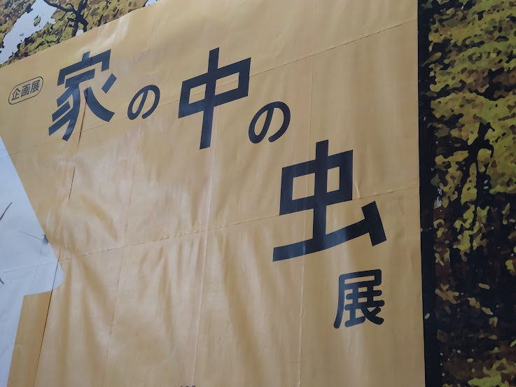 磐田市家の中虫展磐田市竜洋昆虫自然観察公園