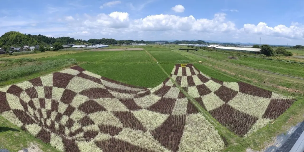 菊川市田んぼアートトリックアート 富士山と駿河湾