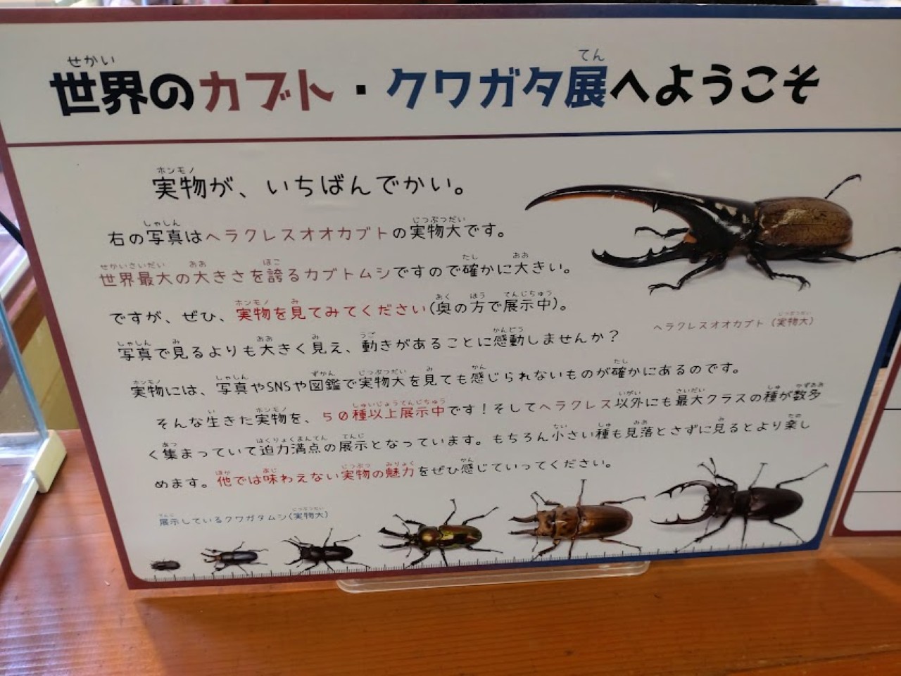 磐田市竜洋昆虫自然観察公園