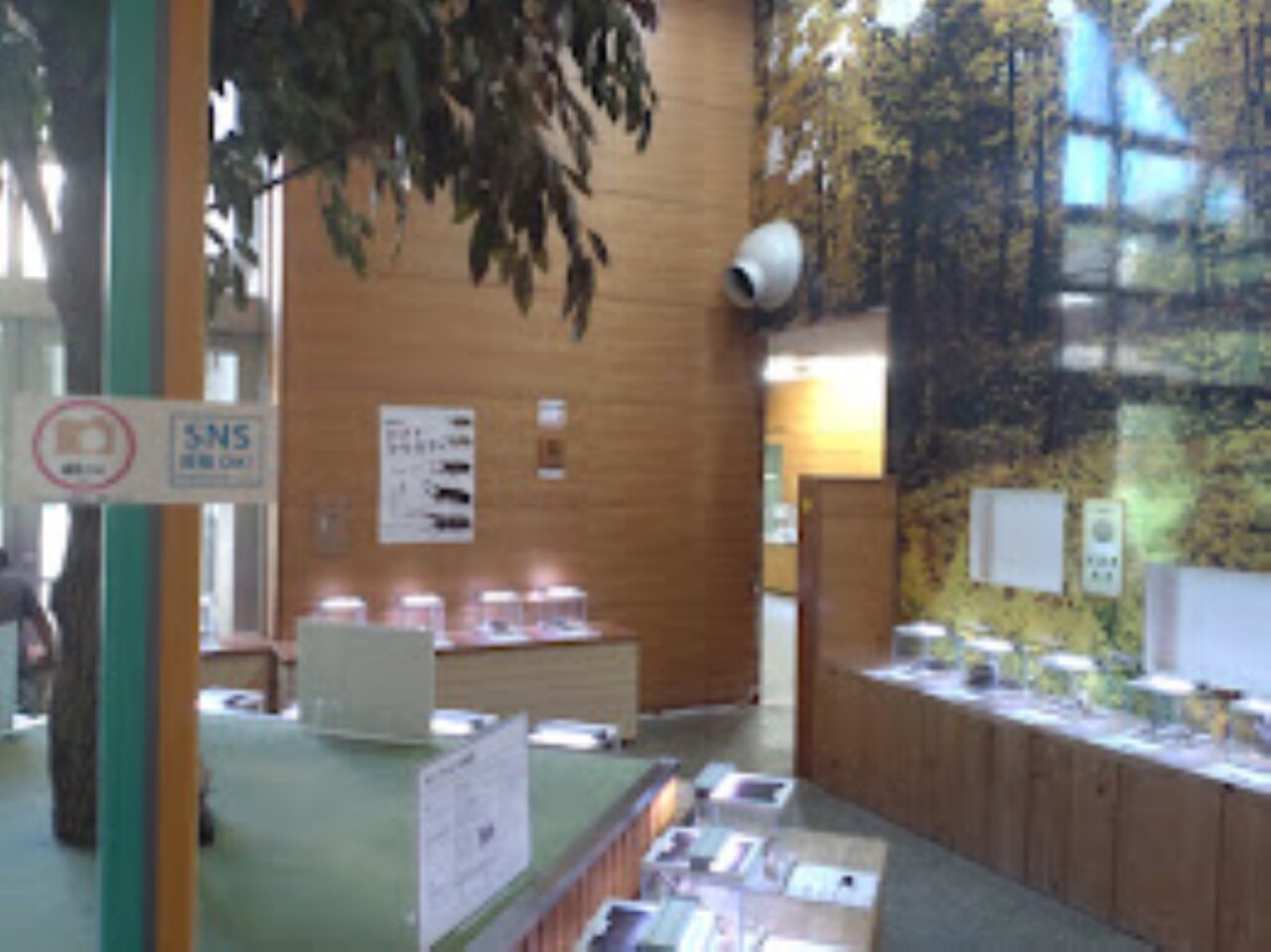 磐田市竜洋昆虫自然観察公園