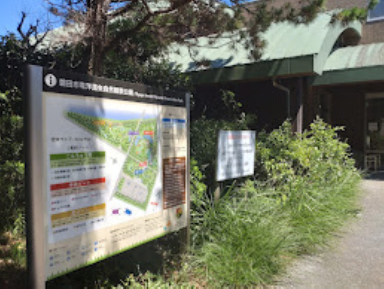 磐田市竜洋昆虫自然観察公園