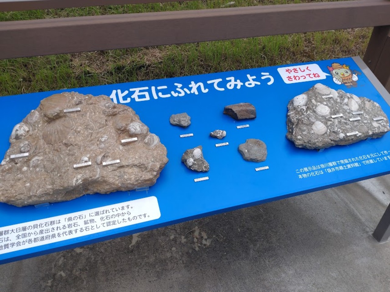 袋井市宇刈宇刈里山公園