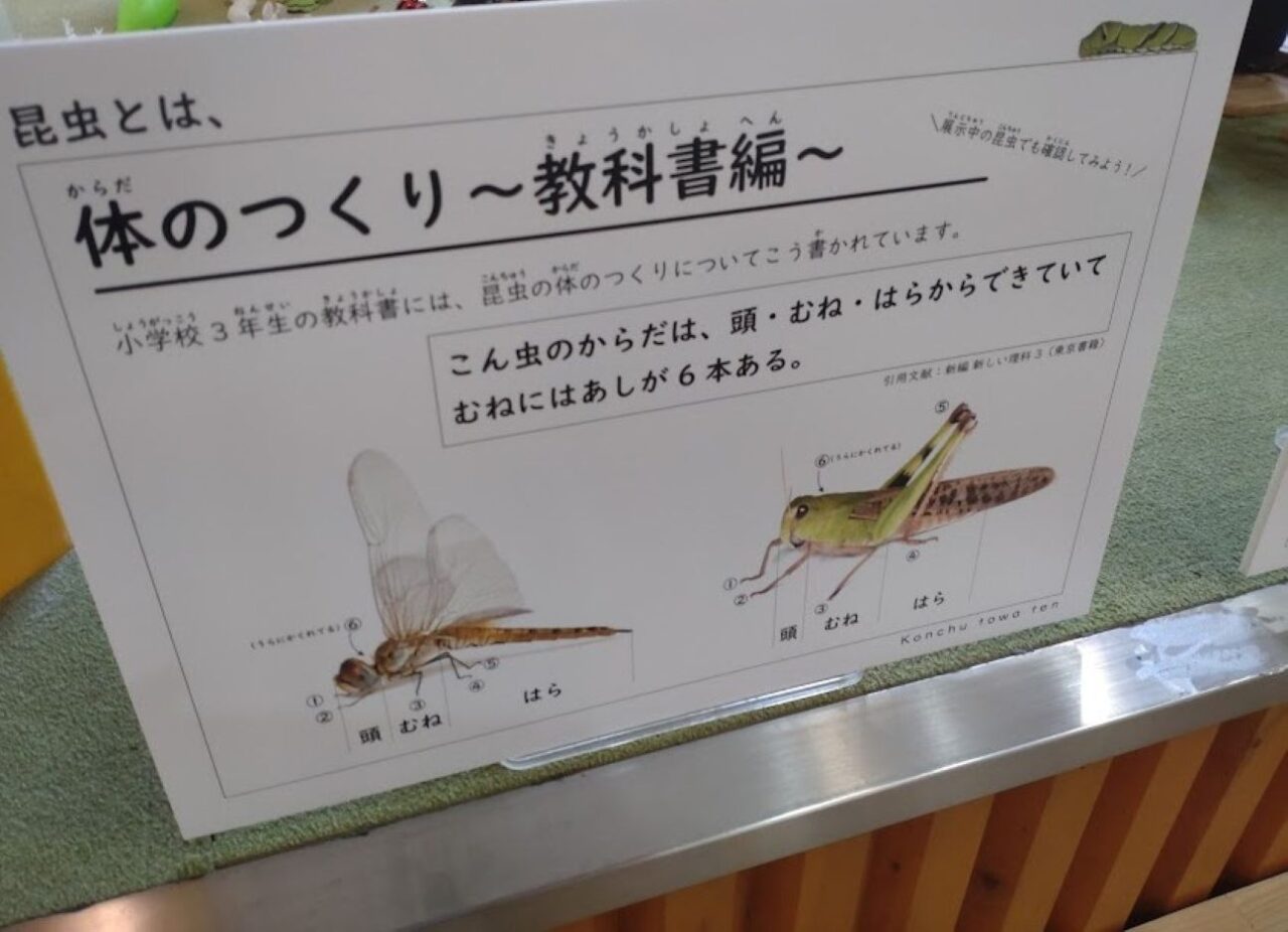 磐田市竜洋昆虫自然観察公園
