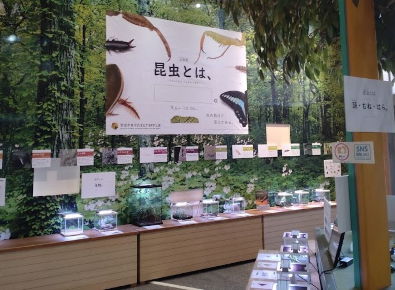 磐田市竜洋昆虫自然観察公園