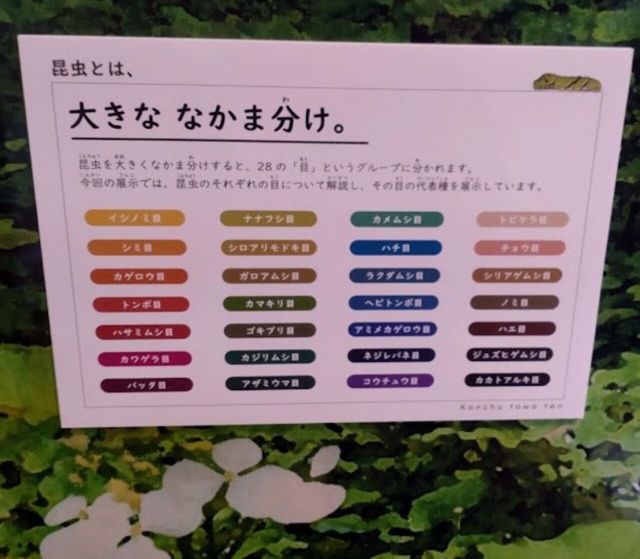 磐田市竜洋昆虫自然観察公園