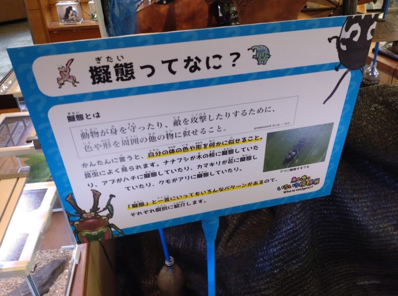 磐田市竜洋昆虫自然観察公園浜松市の水族館とのコラボイベント魚と虫のいろいろ模様展