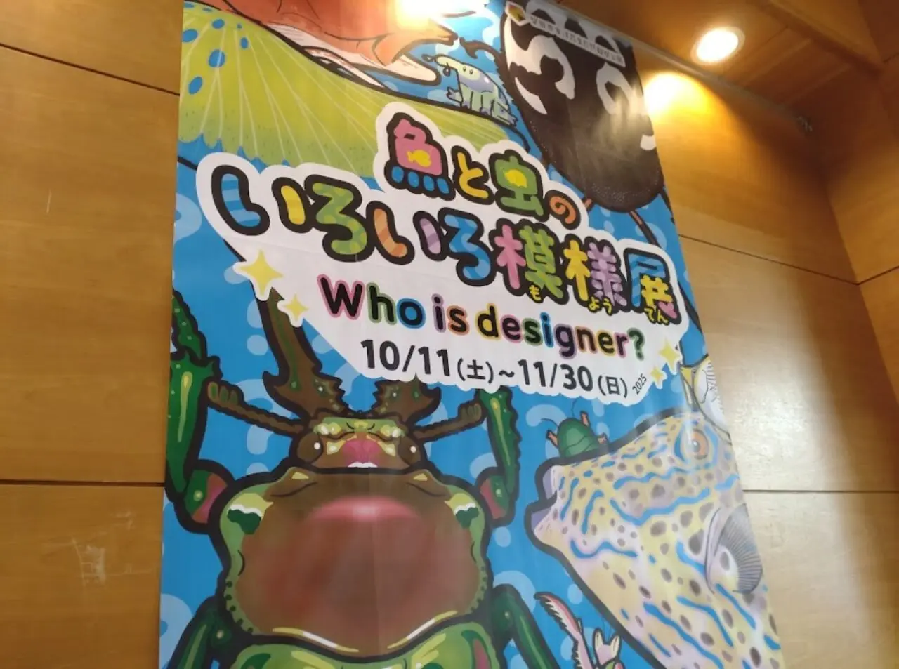 磐田市竜洋昆虫自然観察公園浜松市の水族館とのコラボイベント魚と虫のいろいろ模様展