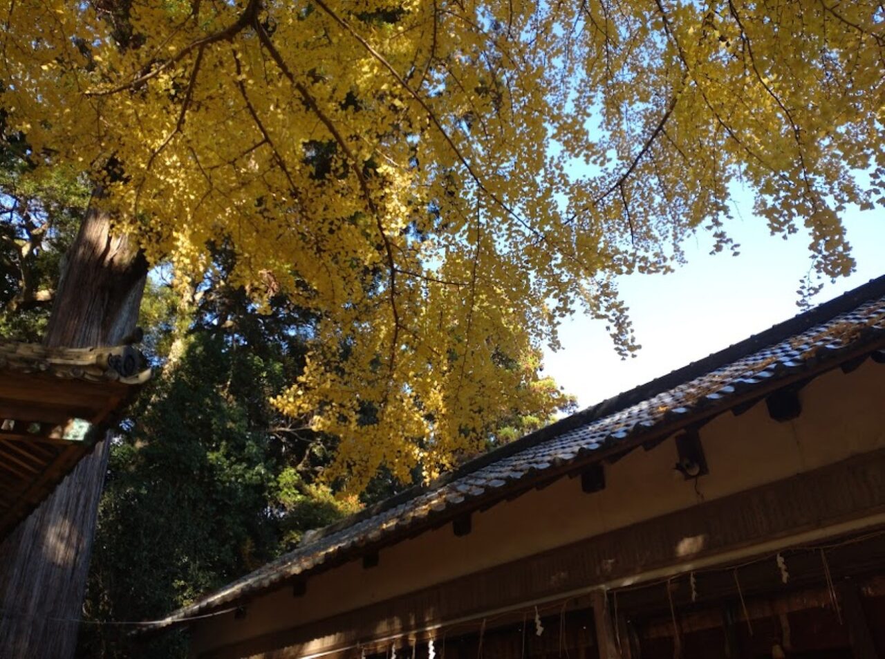 事任八幡宮掛川市紅葉