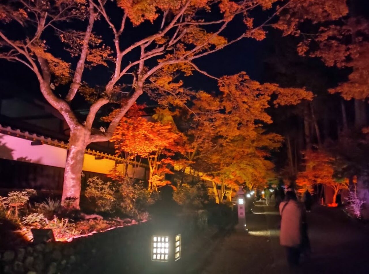 袋井市豊沢法多山ライトアップもみじまつり