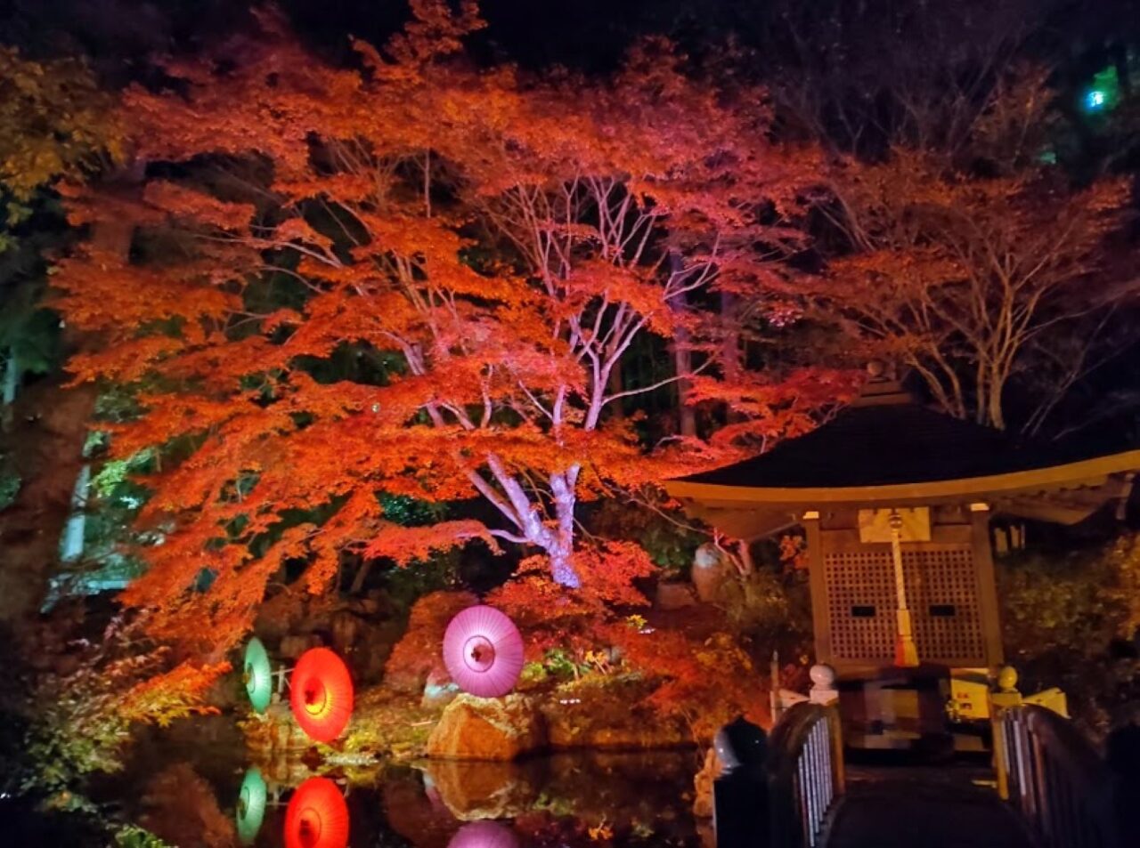 袋井市豊沢法多山ライトアップもみじまつり