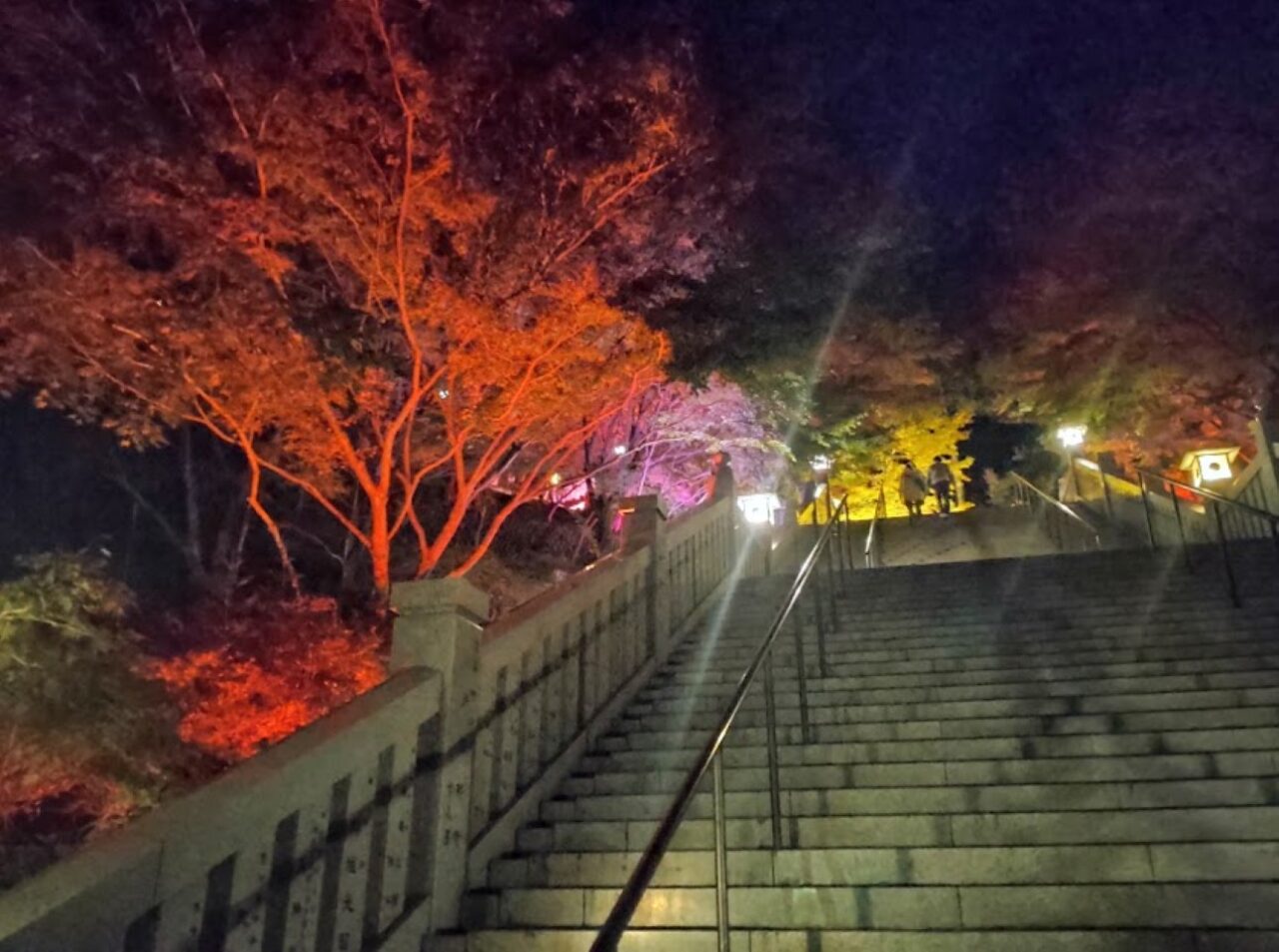 袋井市豊沢法多山ライトアップもみじまつり