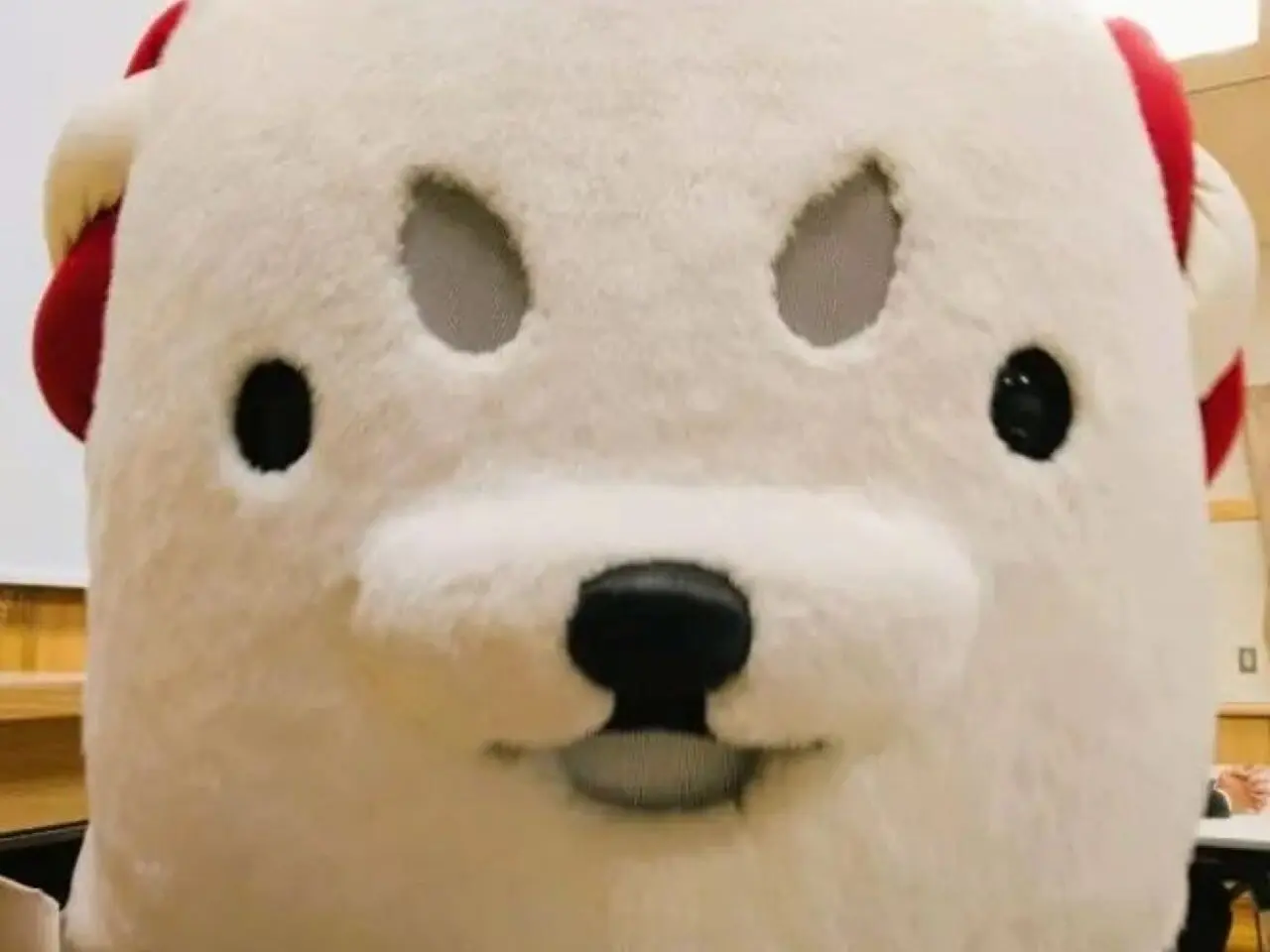 shippeiしっぺい磐田市shippei